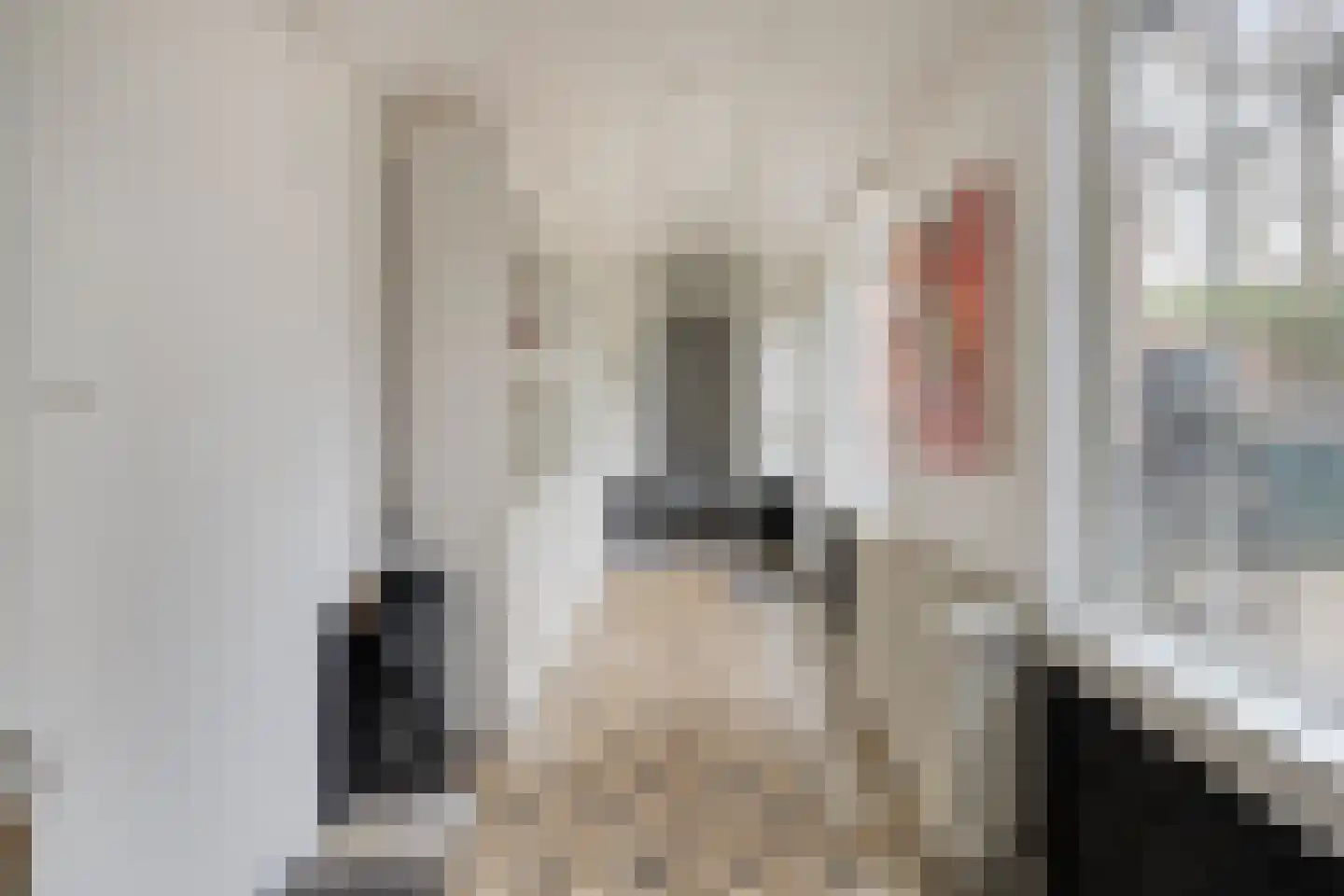 Ellestraat 41 Heikant thumbnail 5