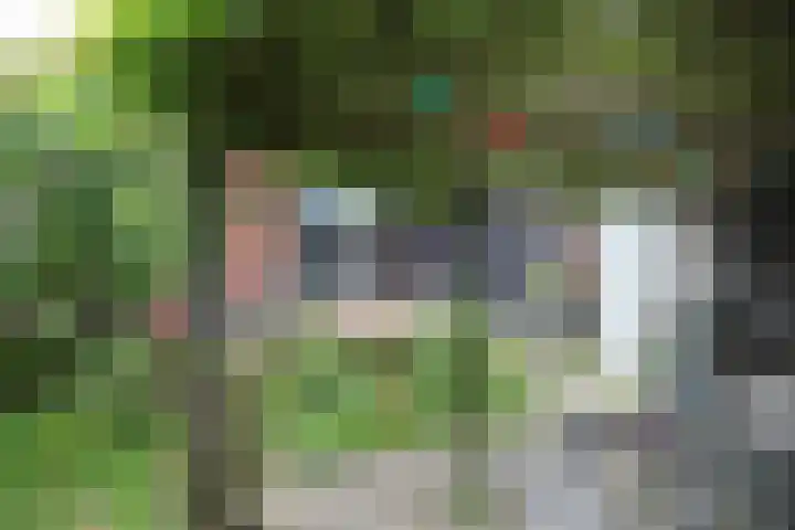 Ellestraat 41 Heikant thumbnail 50