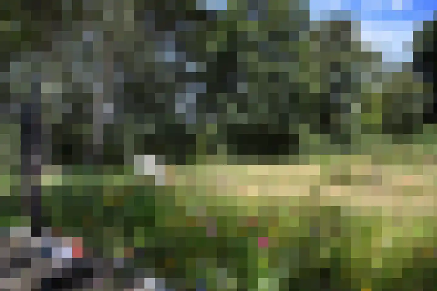 Ellestraat 41 Heikant thumbnail 51