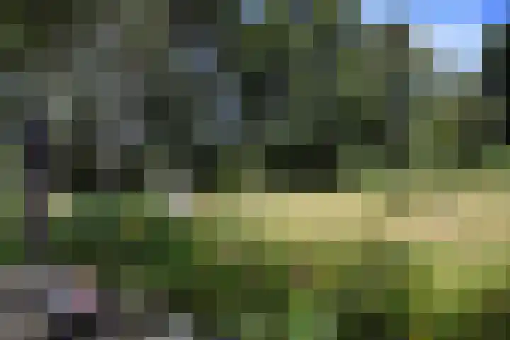 Ellestraat 41 Heikant thumbnail 51