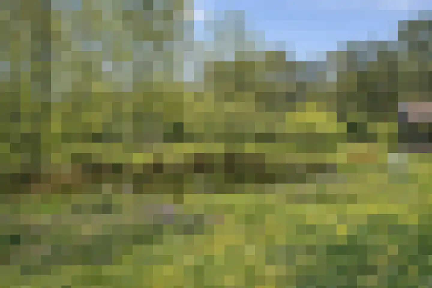 Ellestraat 41 Heikant thumbnail 52