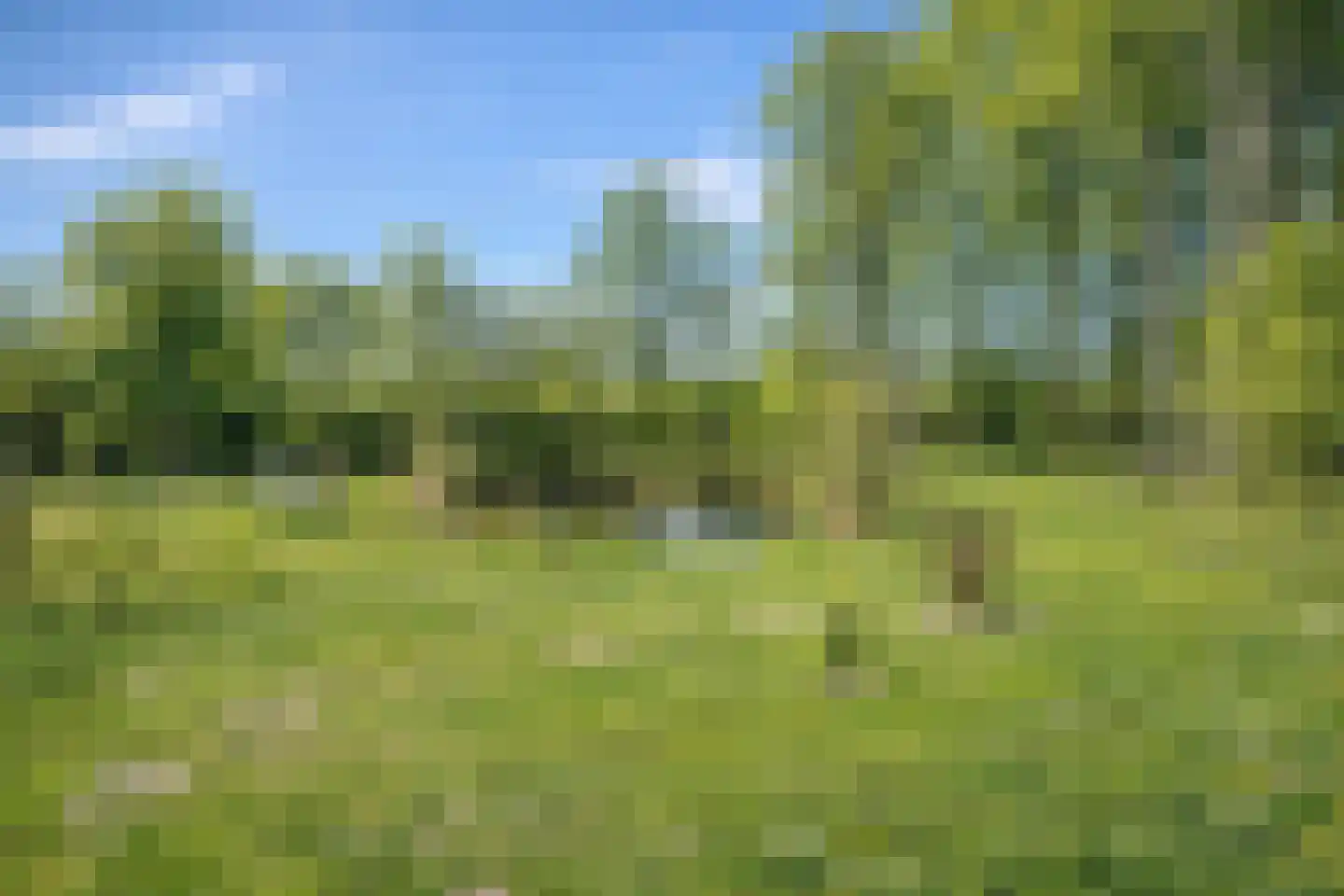 Ellestraat 41 Heikant thumbnail 53
