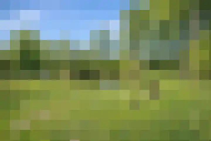 Ellestraat 41 Heikant thumbnail 53