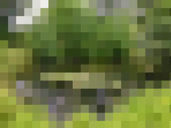 Ellestraat 41 Heikant thumbnail 54