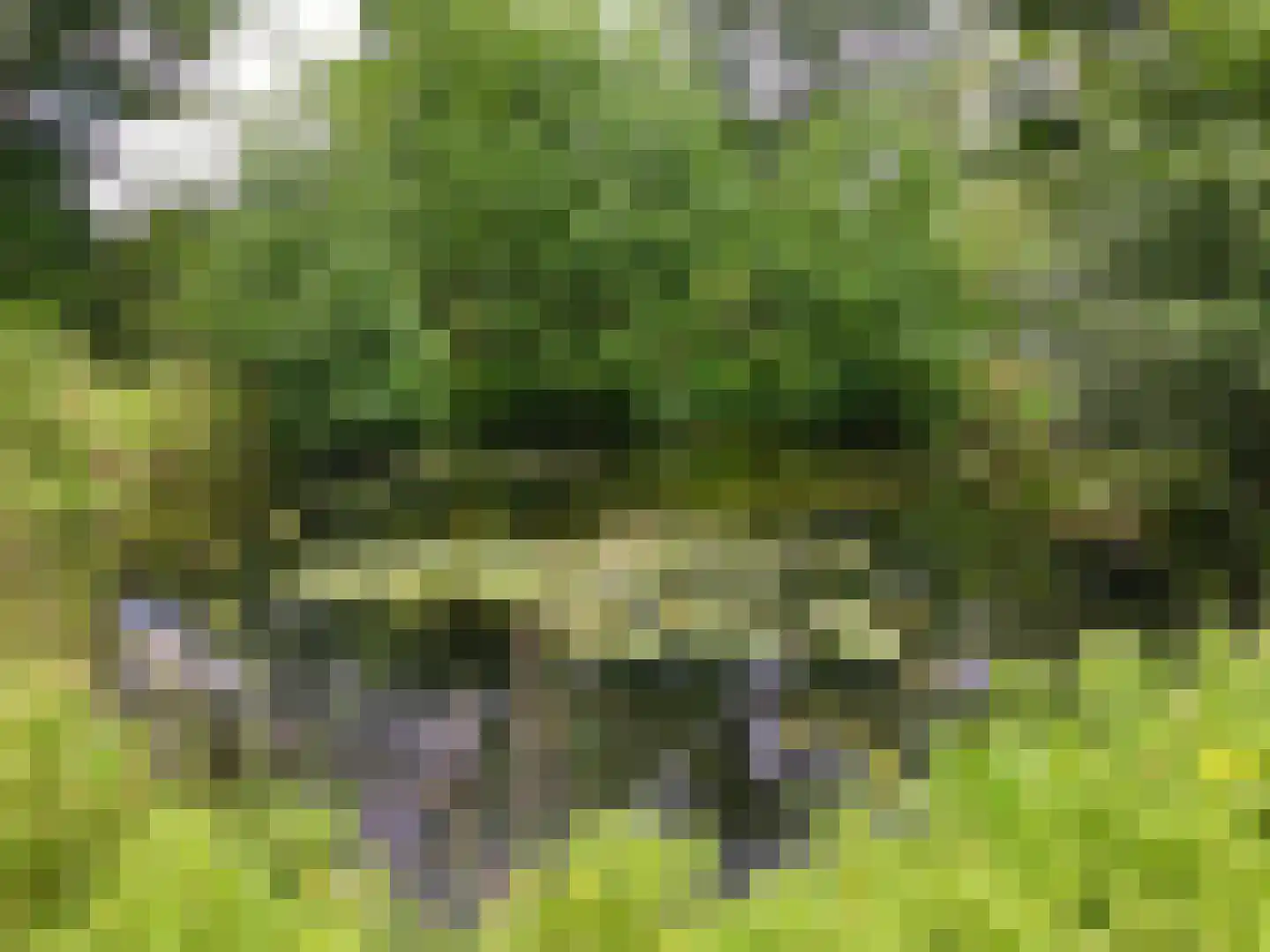 Ellestraat 41 Heikant thumbnail 54