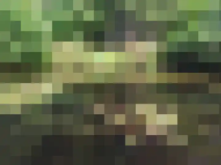 Ellestraat 41 Heikant thumbnail 55
