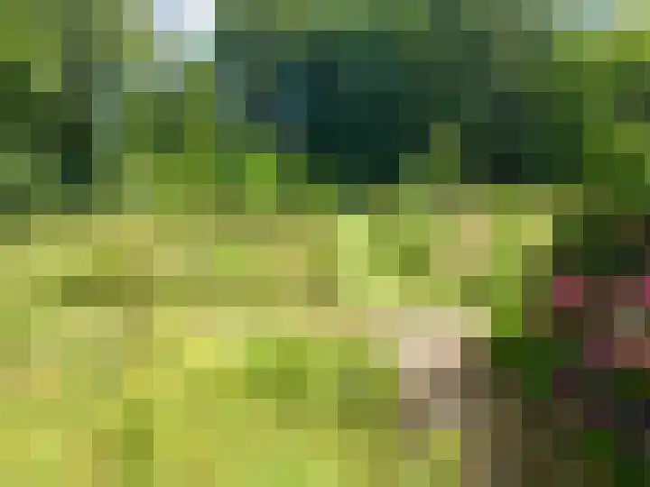 Ellestraat 41 Heikant thumbnail 56