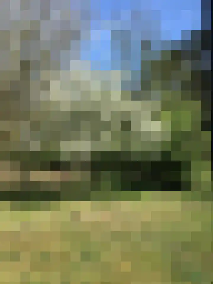 Ellestraat 41 Heikant thumbnail 57