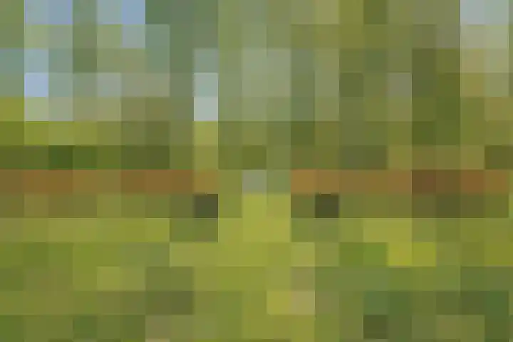 Ellestraat 41 Heikant thumbnail 61