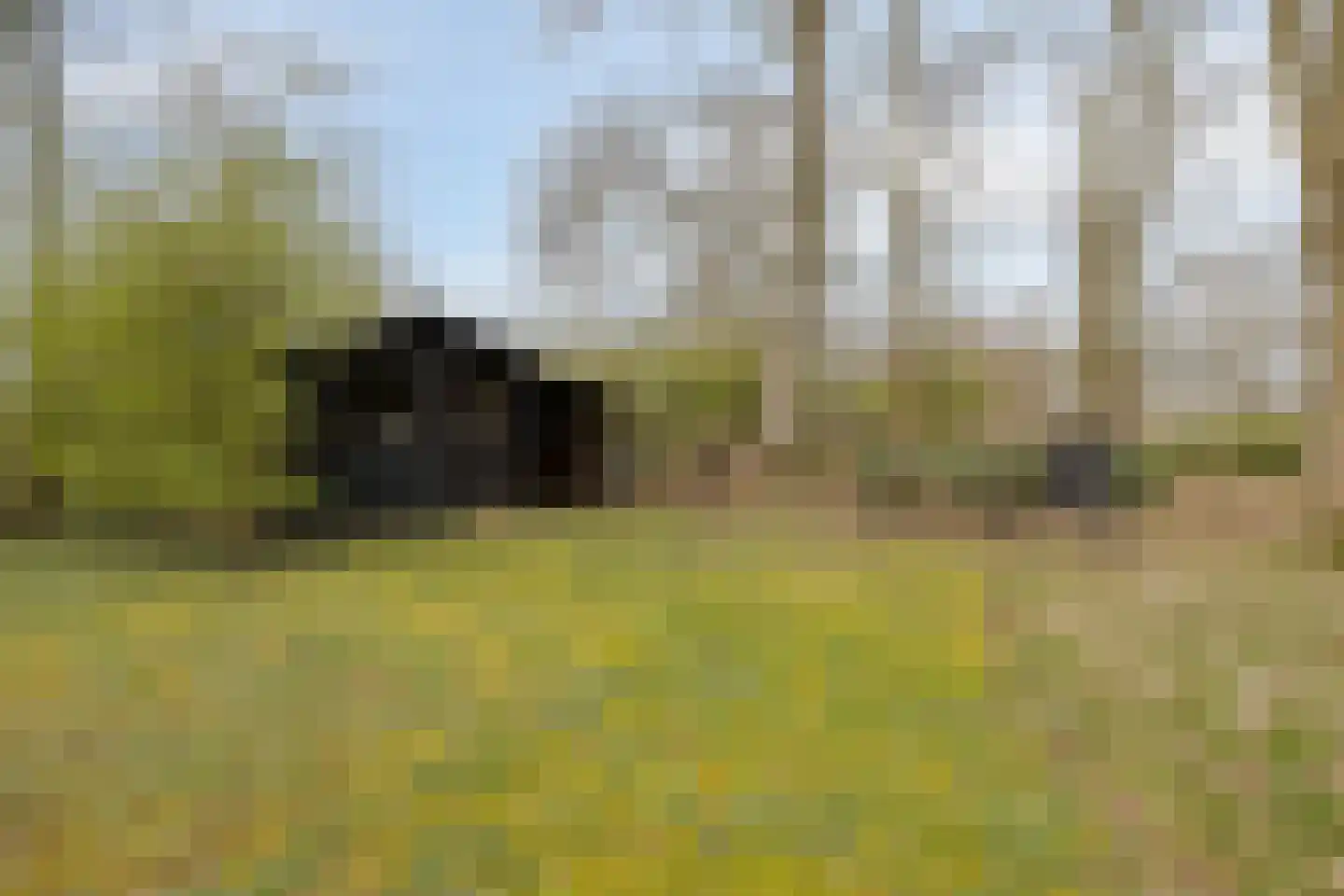 Ellestraat 41 Heikant thumbnail 62