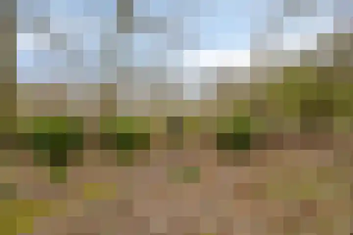 Ellestraat 41 Heikant thumbnail 63