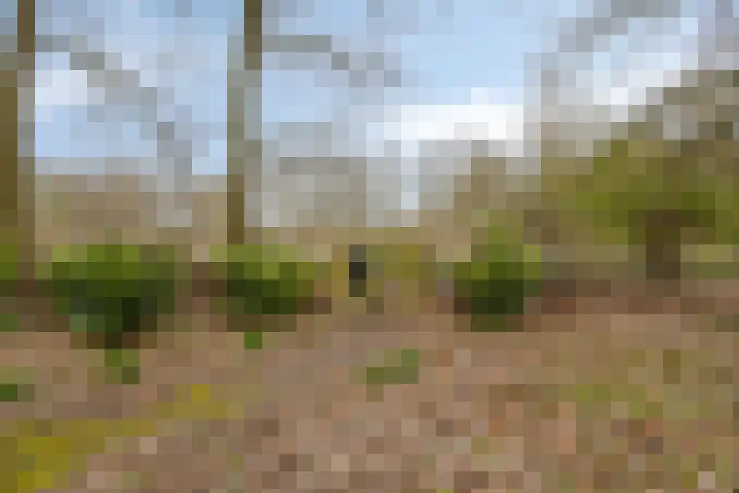 Ellestraat 41 Heikant thumbnail 63