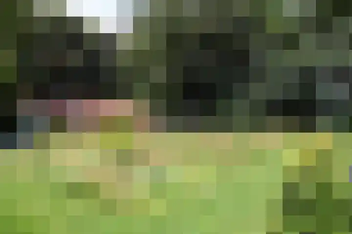 Ellestraat 41 Heikant thumbnail 64