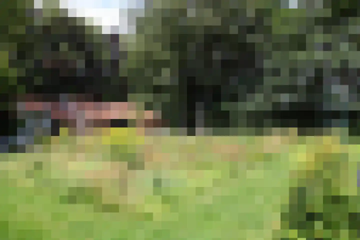 Ellestraat 41 Heikant thumbnail 64