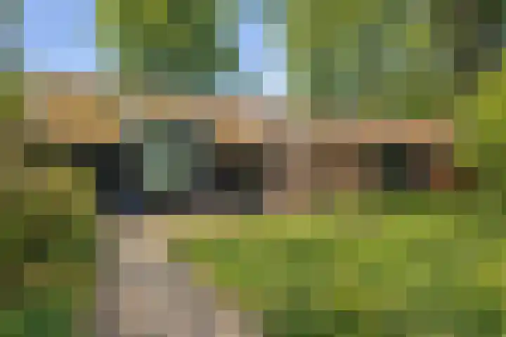 Ellestraat 41 Heikant thumbnail 65