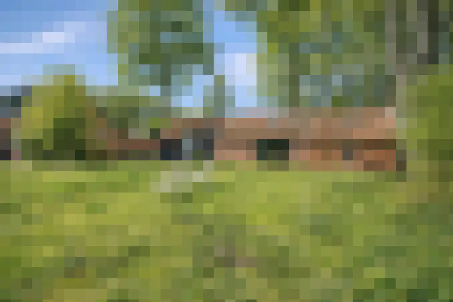 Ellestraat 41 Heikant thumbnail 66