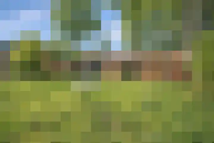 Ellestraat 41 Heikant thumbnail 66