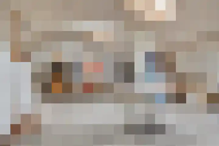 Ellestraat 41 Heikant thumbnail 68