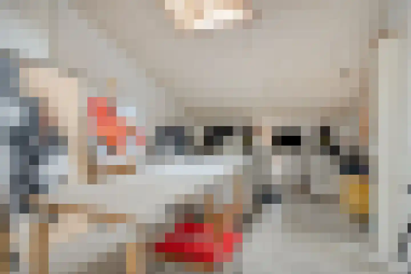 Ellestraat 41 Heikant thumbnail 69
