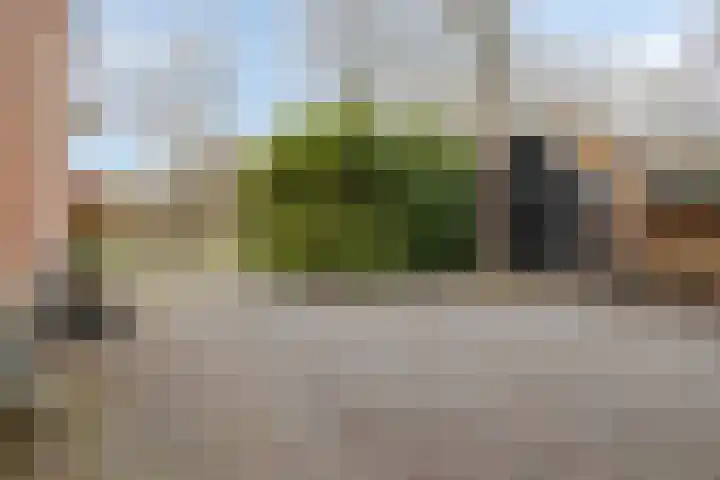 Ellestraat 41 Heikant thumbnail 77
