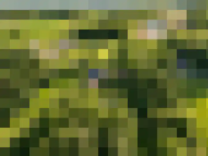 Ellestraat 41 Heikant thumbnail 79
