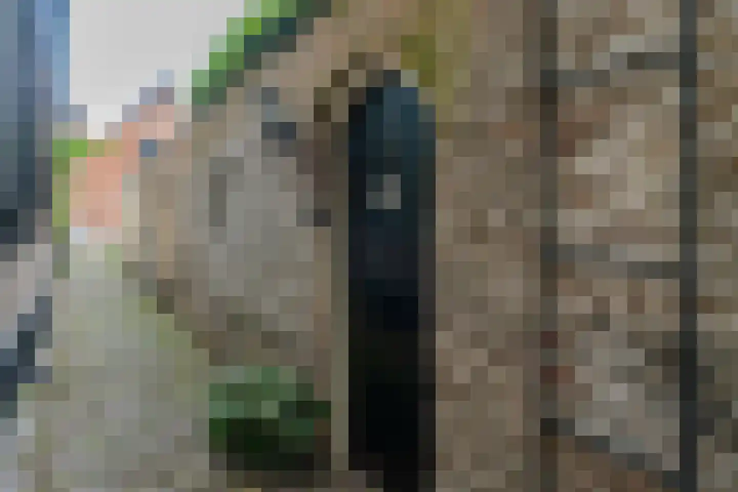 Ellestraat 43 45 Elburg thumbnail 26