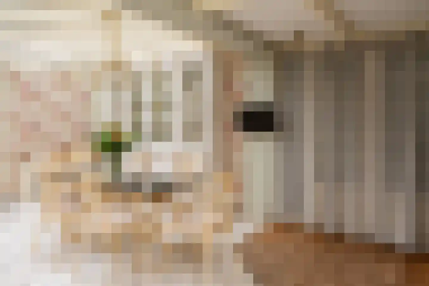 Ellestraat 43 45 Elburg thumbnail 59