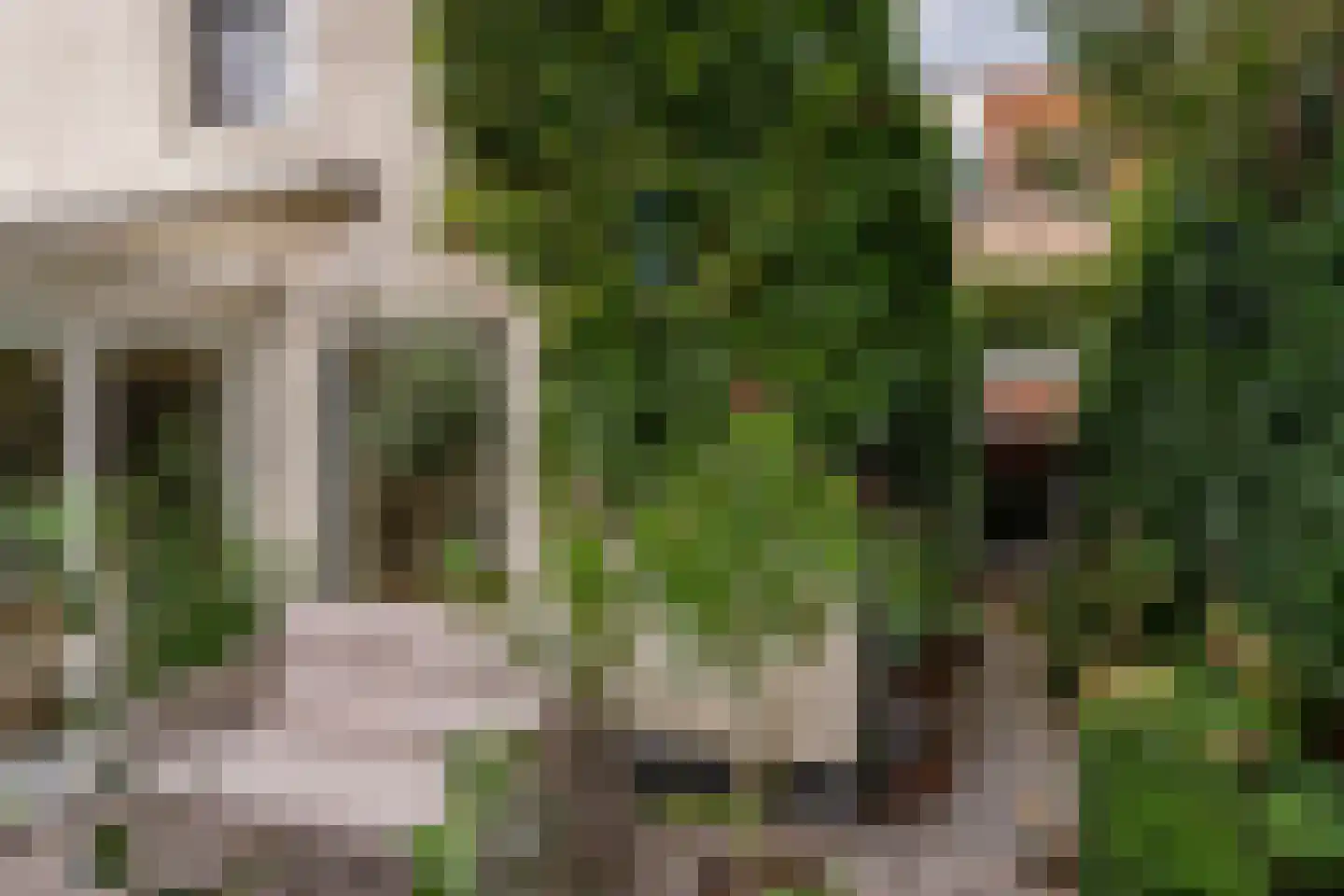 Ellestraat 43 45 Elburg thumbnail 63