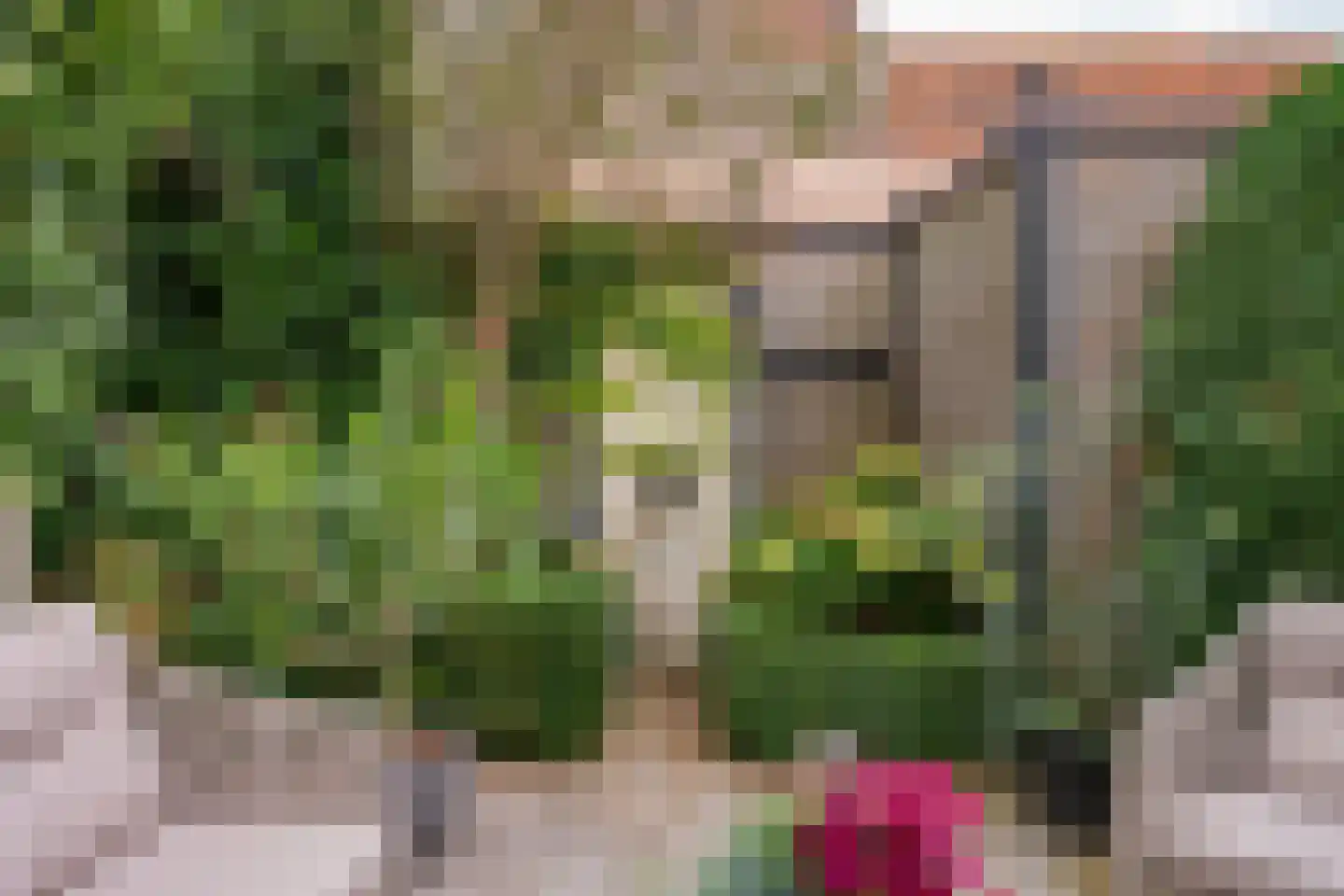 Ellestraat 43 45 Elburg thumbnail 67