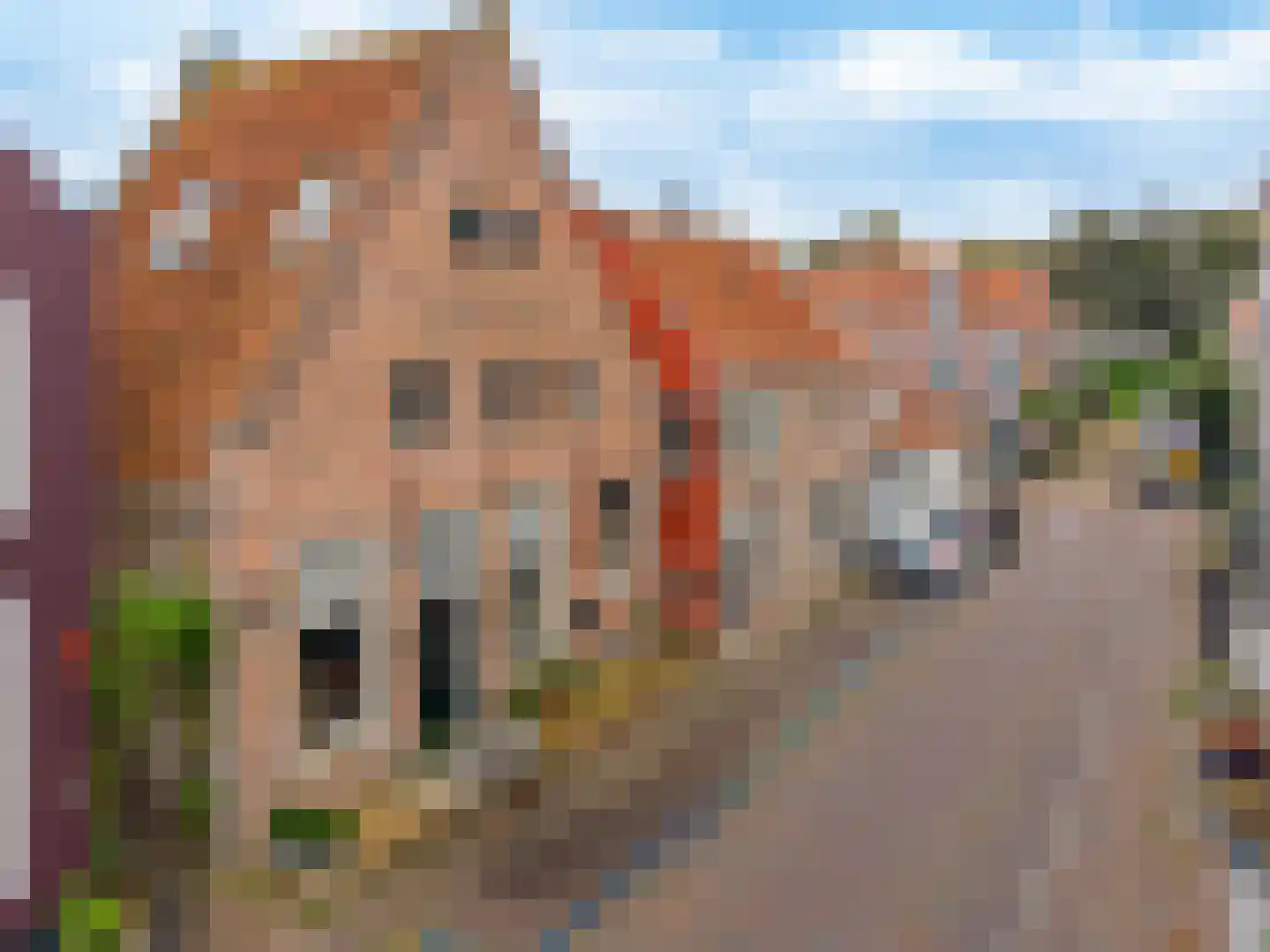 Ellestraat 43 in Elburg