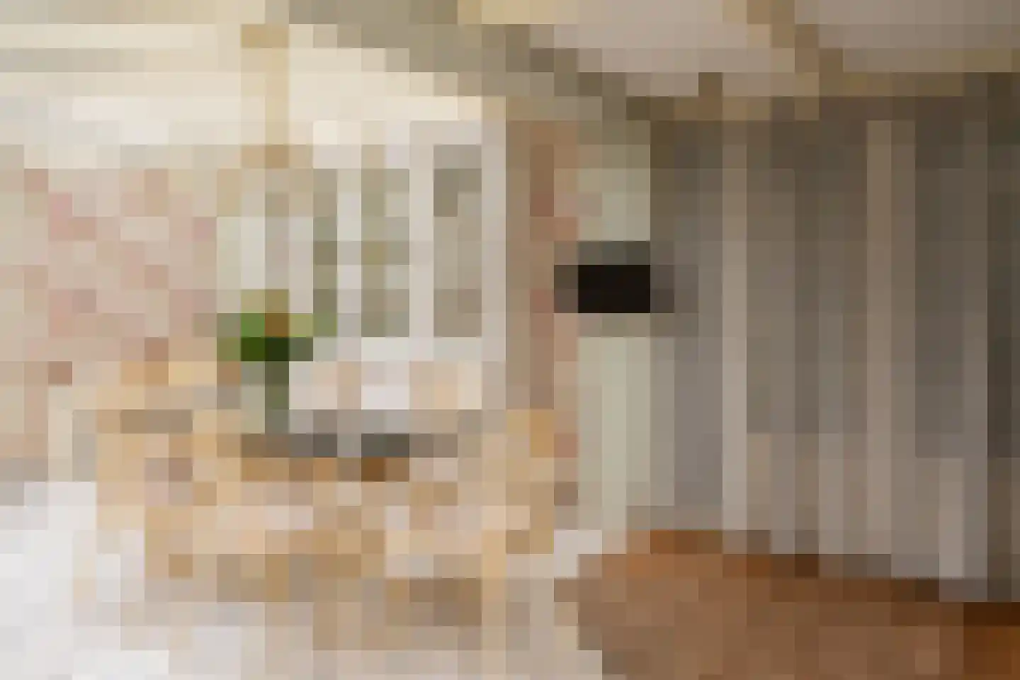 Ellestraat 43 Elburg thumbnail 56
