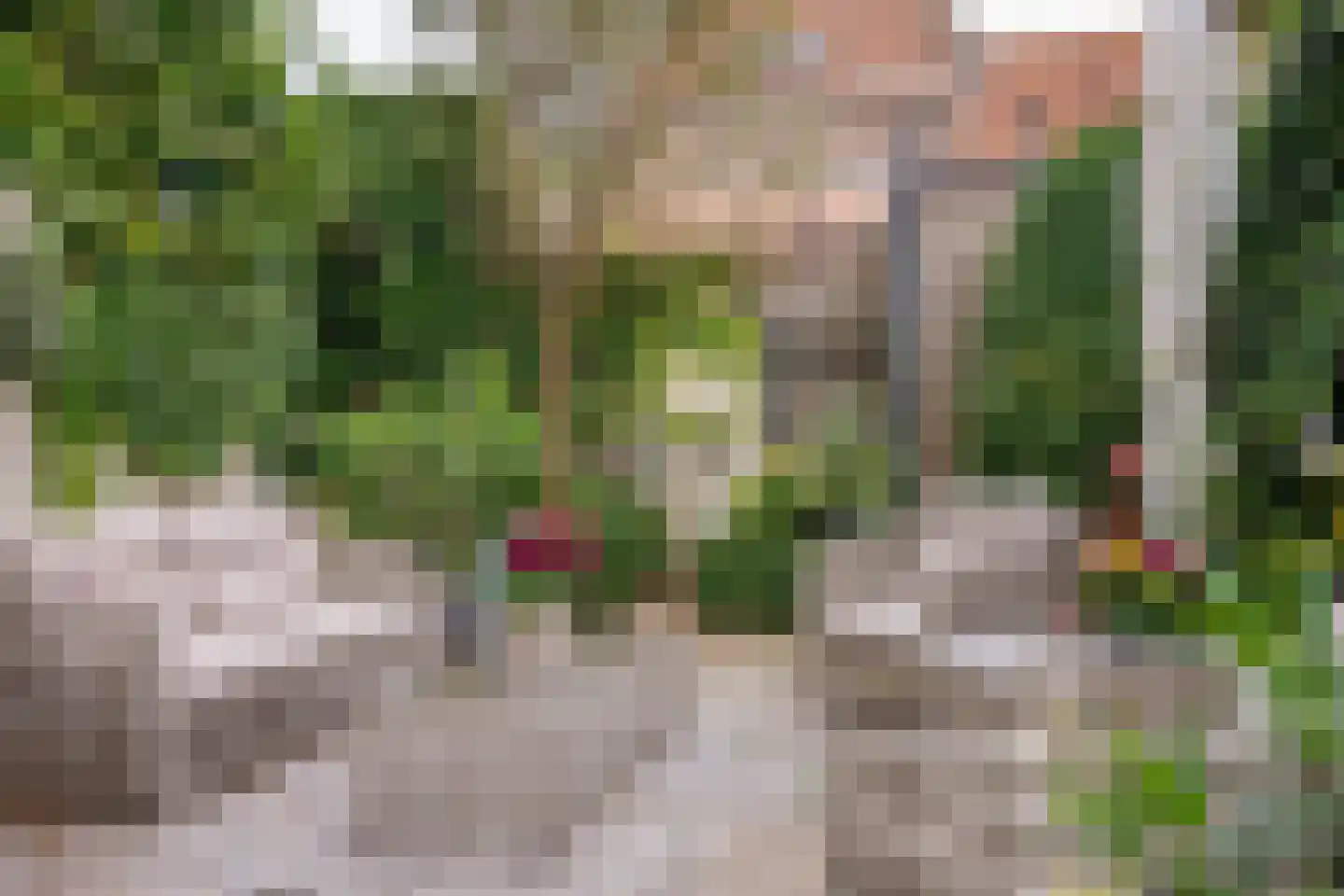 Ellestraat 43 Elburg thumbnail 59