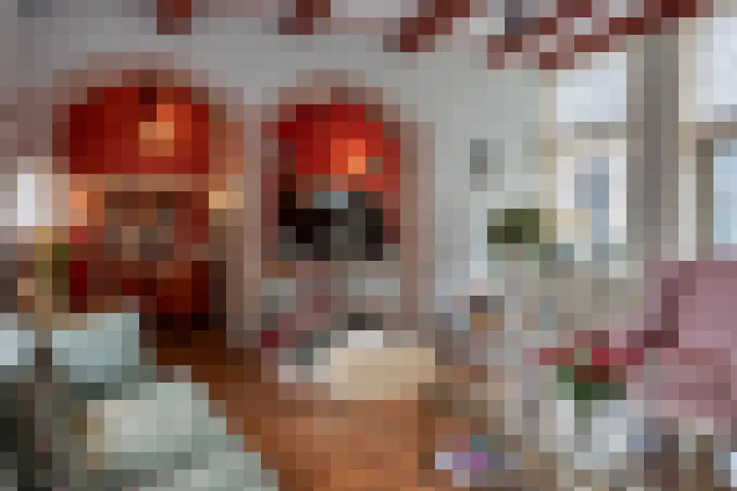Ellestraat 43 Elburg thumbnail 6