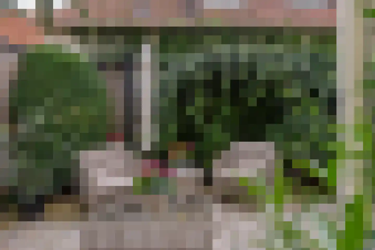 Ellestraat 43 Elburg thumbnail 60
