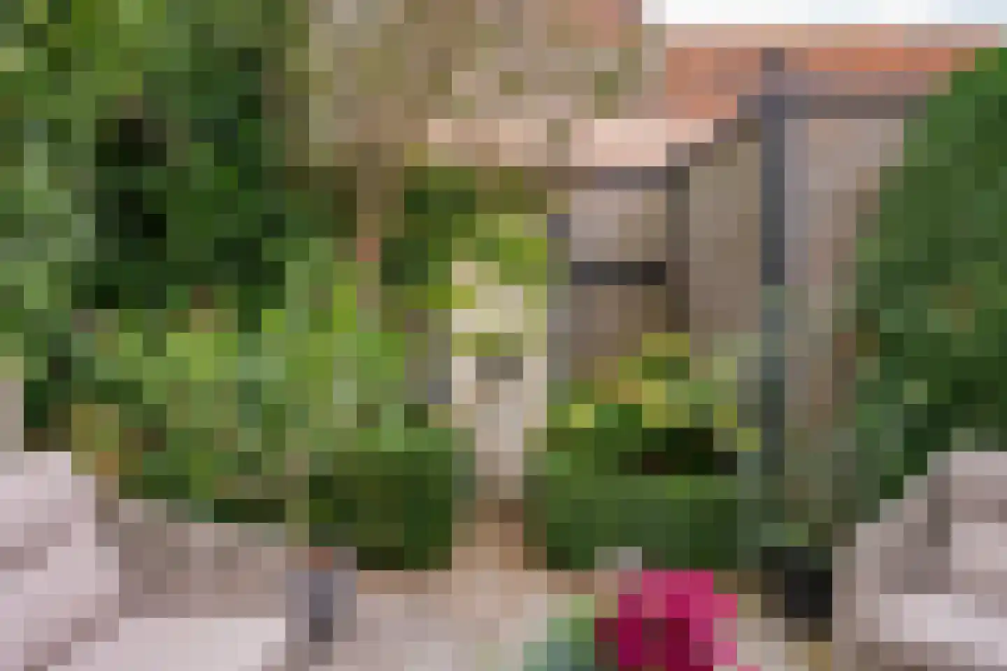 Ellestraat 43 Elburg thumbnail 65