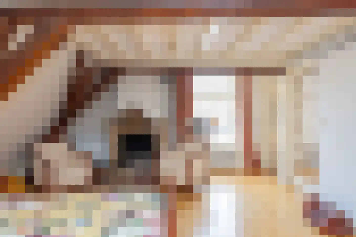 Ellestraat 43 Elburg thumbnail 76