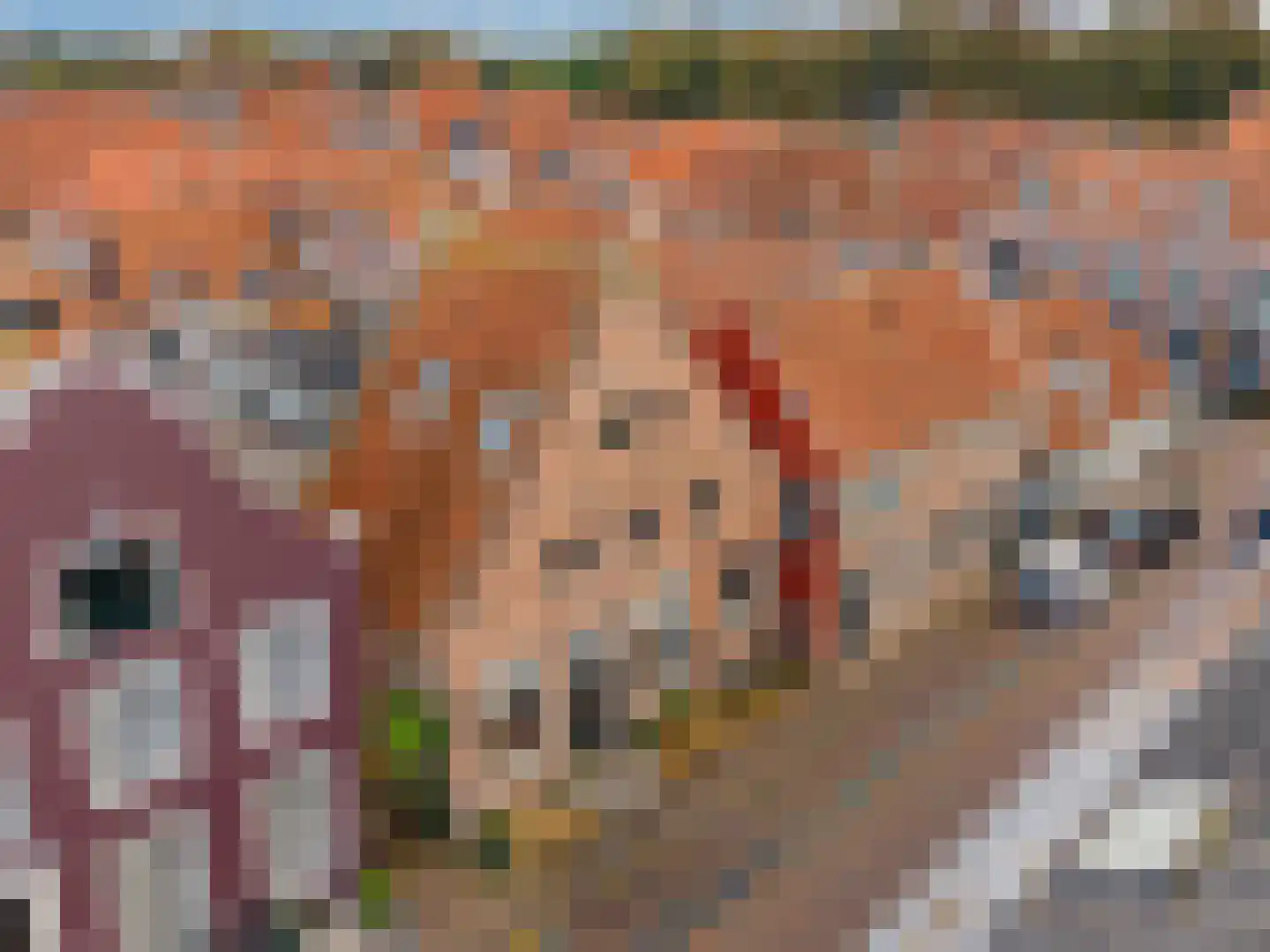 Ellestraat 43 Elburg thumbnail 94