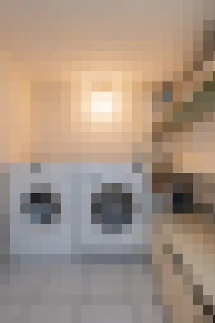Ellestraat 45 Elburg thumbnail 30