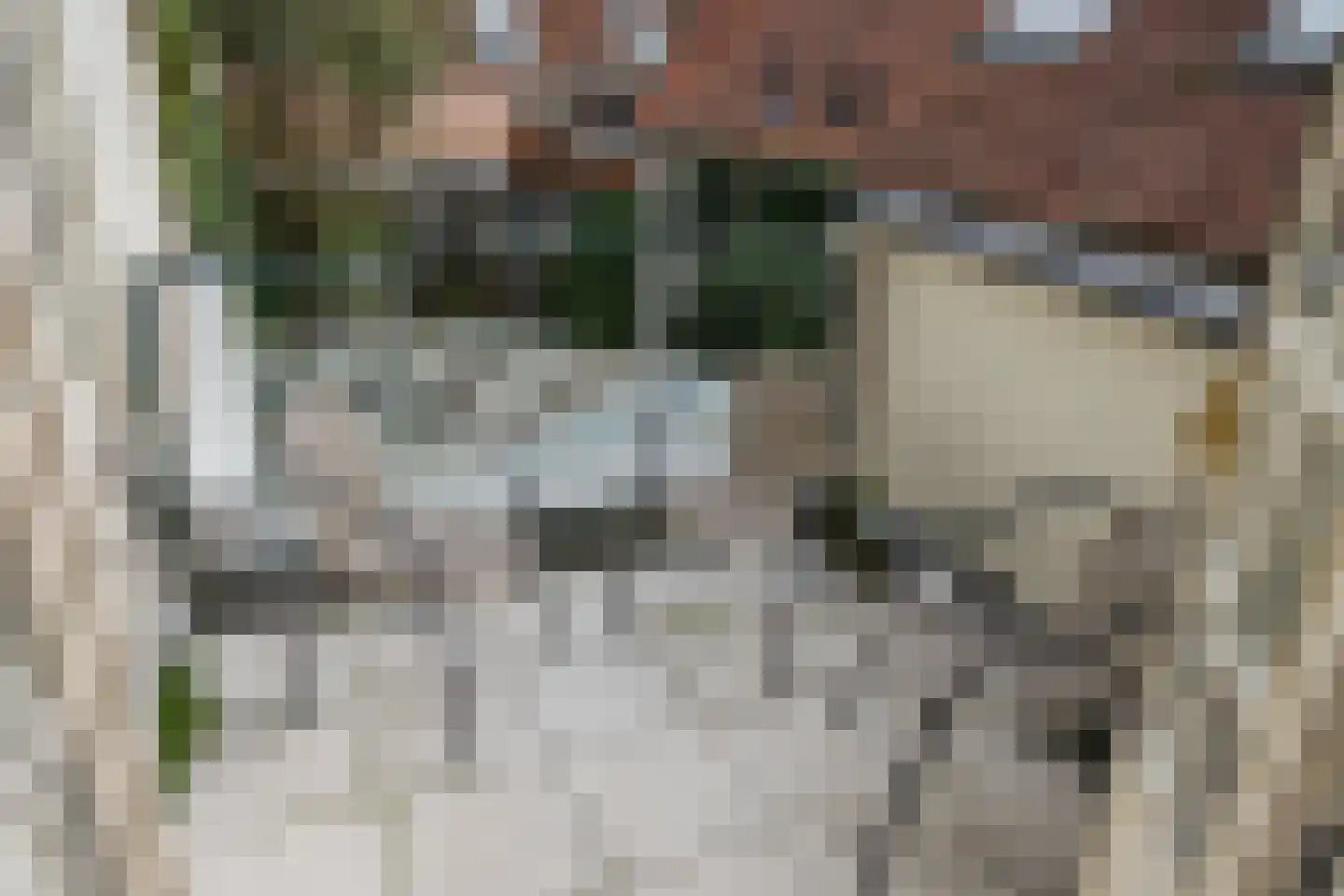 Ellestraat 45 Elburg thumbnail 41