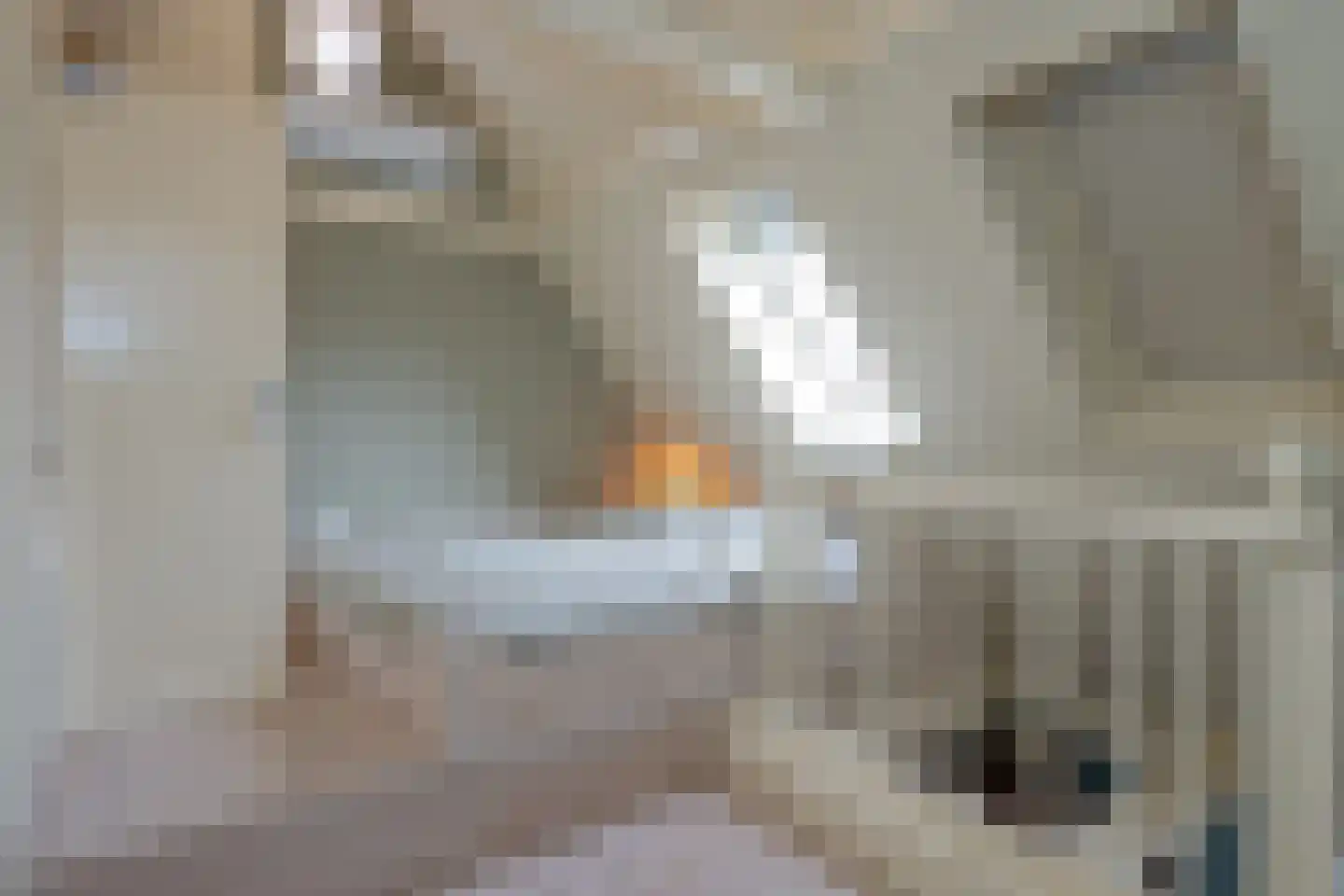 Ellestraat 45 Elburg thumbnail 43