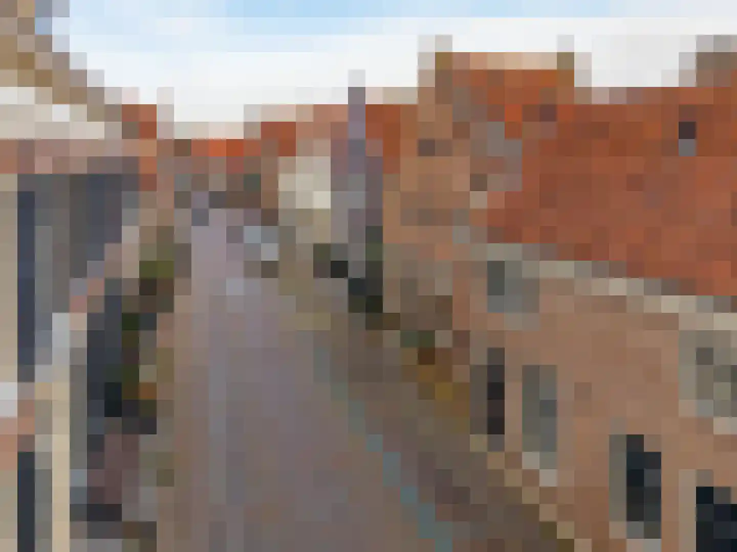 Ellestraat 45 Elburg thumbnail 49