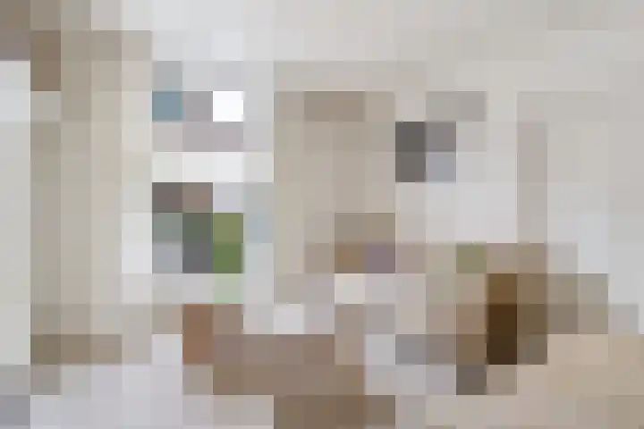 Ellestraat 54 Elburg thumbnail 13