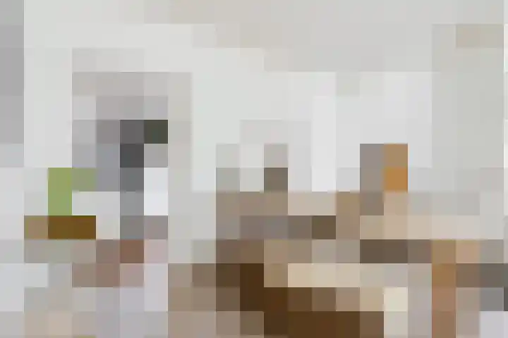 Ellestraat 54 Elburg thumbnail 18