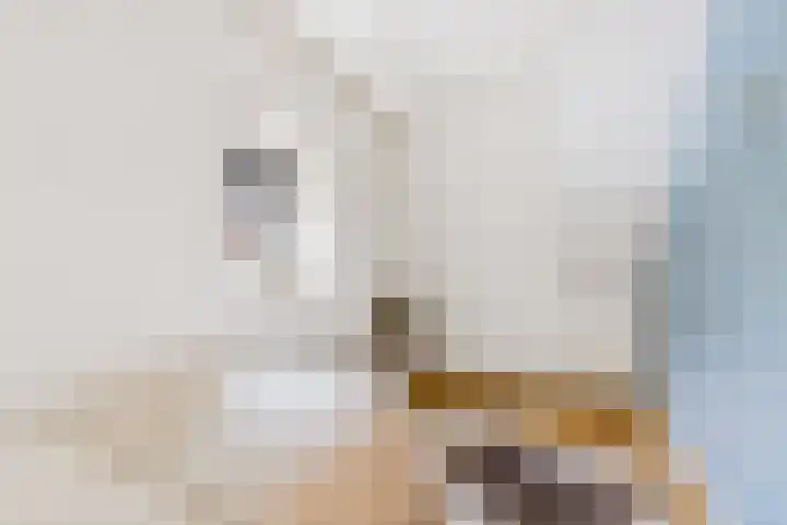 Ellestraat 54 Elburg thumbnail 26