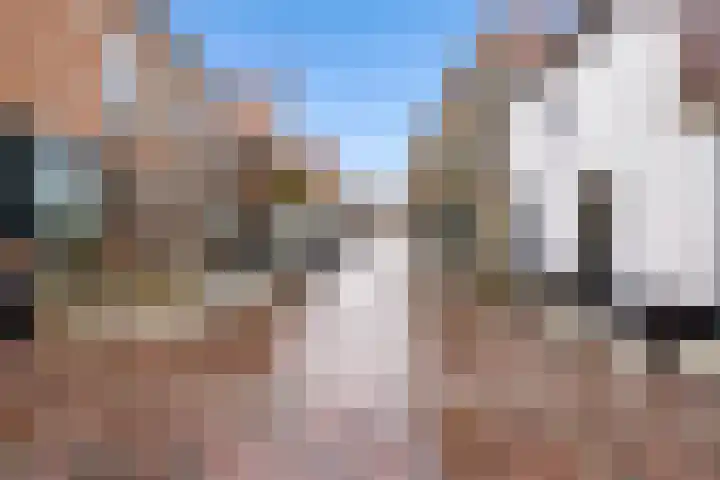 Ellestraat 54 Elburg thumbnail 38