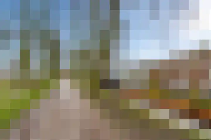 Ellestraat 54 Elburg thumbnail 41