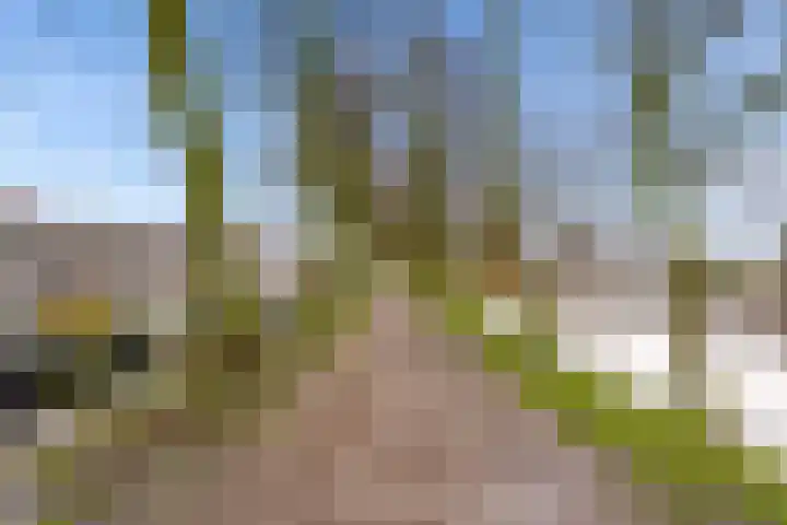 Ellestraat 54 Elburg thumbnail 43