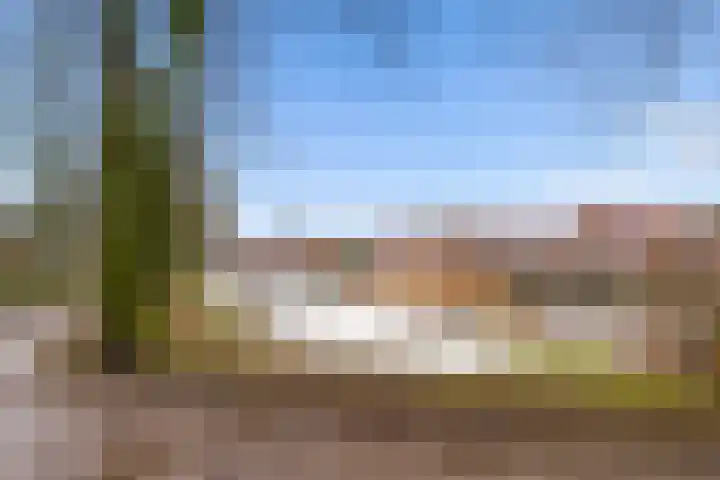Ellestraat 54 Elburg thumbnail 44
