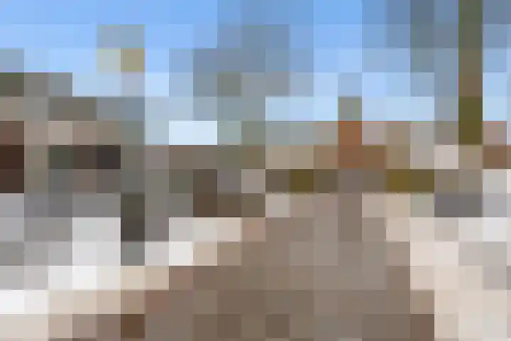 Ellestraat 54 Elburg thumbnail 47