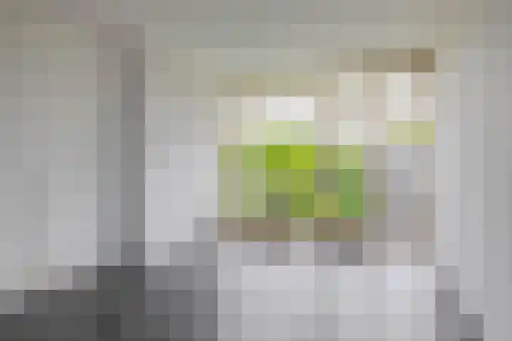 Ellewoutsdijkstraat 167 Rotterdam thumbnail 9